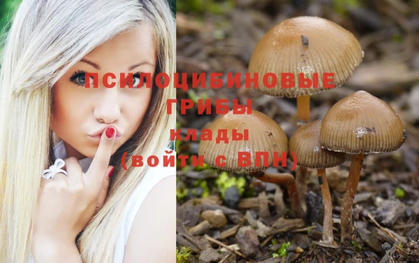 ECSTASY Новодвинск