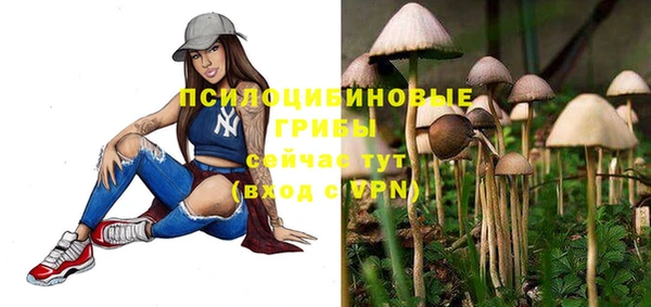ECSTASY Новодвинск