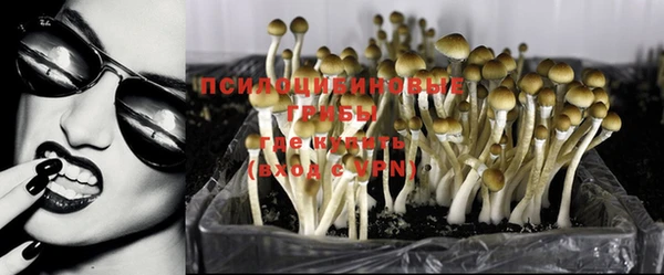 марки lsd Новокубанск